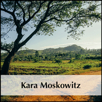 Moskowitz image